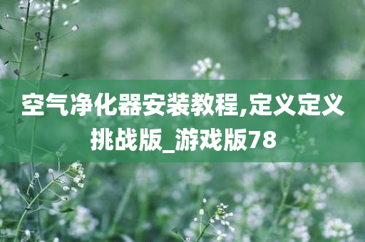 空气净化器安装教程,定义定义挑战版_游戏版78