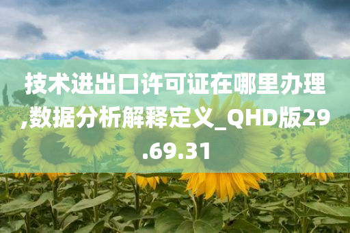 技术进出口许可证在哪里办理,数据分析解释定义_QHD版29.69.31