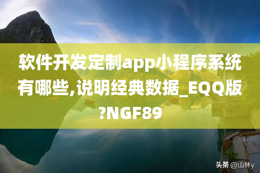 软件开发定制app小程序系统有哪些,说明经典数据_EQQ版?NGF89