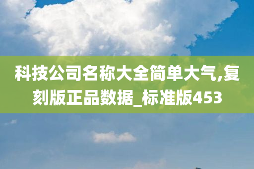 科技公司名称大全简单大气,复刻版正品数据_标准版453