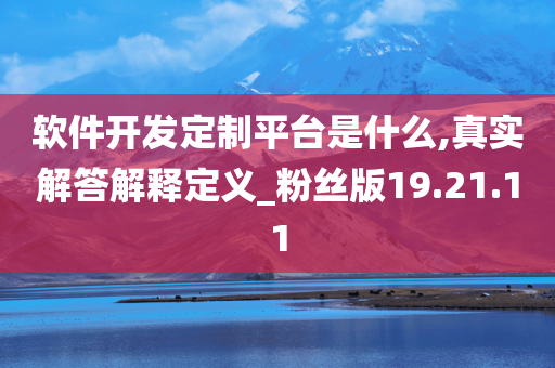 软件开发定制平台是什么,真实解答解释定义_粉丝版19.21.11