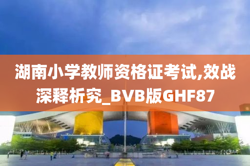 湖南小学教师资格证考试,效战深释析究_BVB版GHF87