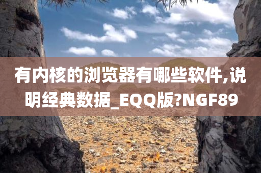 有内核的浏览器有哪些软件,说明经典数据_EQQ版?NGF89