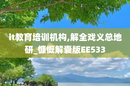 it教育培训机构,解全戏义总地研_慷慨解囊版EE533