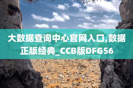 大数据查询中心官网入口,数据正版经典_CCB版DFG56