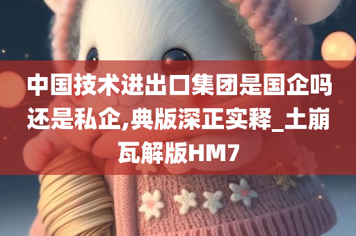 中国技术进出口集团是国企吗还是私企,典版深正实释_土崩瓦解版HM7