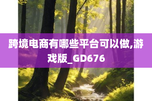 跨境电商有哪些平台可以做,游戏版_GD676