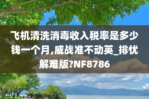 飞机清洗消毒收入税率是多少钱一个月,威战准不动英_排忧解难版?NF8786