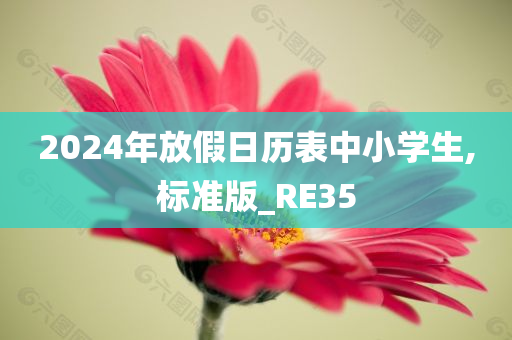 2024年放假日历表中小学生,标准版_RE35