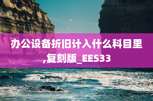 办公设备折旧计入什么科目里,复刻版_EE533