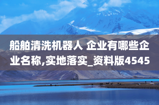 船舶清洗机器人 企业有哪些企业名称,实地落实_资料版4545