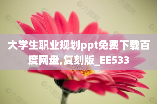 大学生职业规划ppt免费下载百度网盘,复刻版_EE533