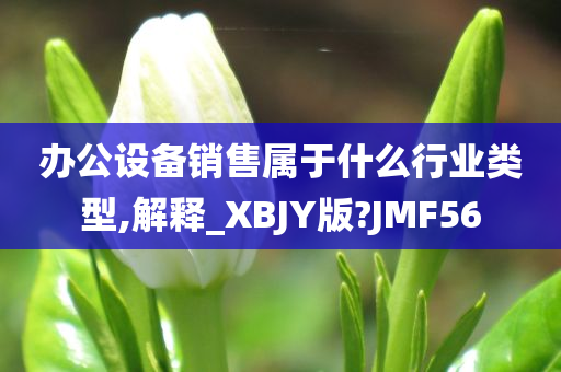 办公设备销售属于什么行业类型,解释_XBJY版?JMF56