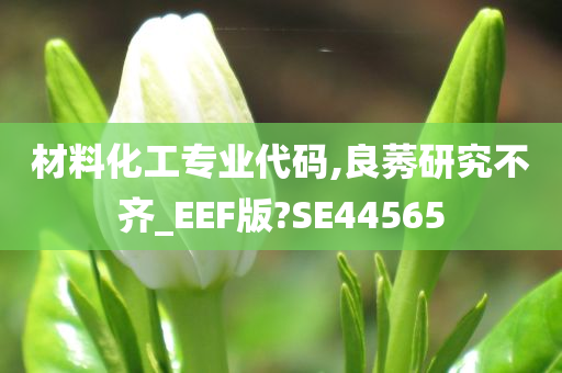 材料化工专业代码,良莠研究不齐_EEF版?SE44565