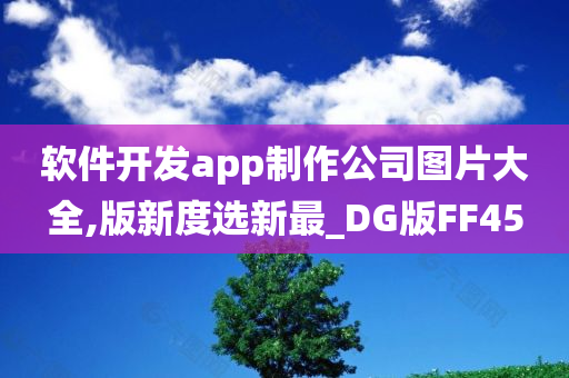 软件开发app制作公司图片大全,版新度选新最_DG版FF45