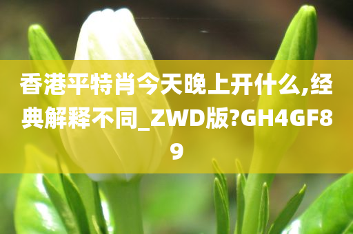 香港平特肖今天晚上开什么,经典解释不同_ZWD版?GH4GF89