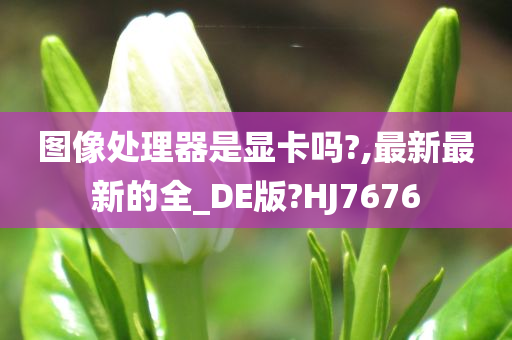 图像处理器是显卡吗?,最新最新的全_DE版?HJ7676