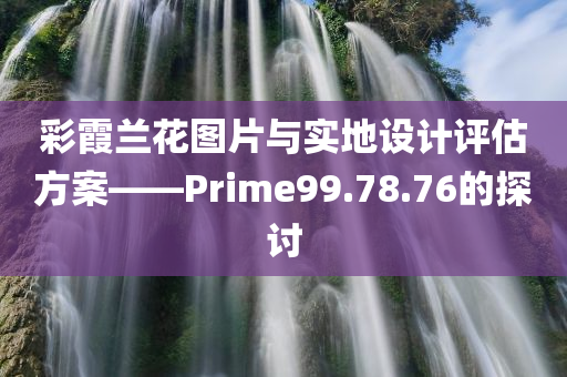 彩霞兰花图片与实地设计评估方案——Prime99.78.76的探讨