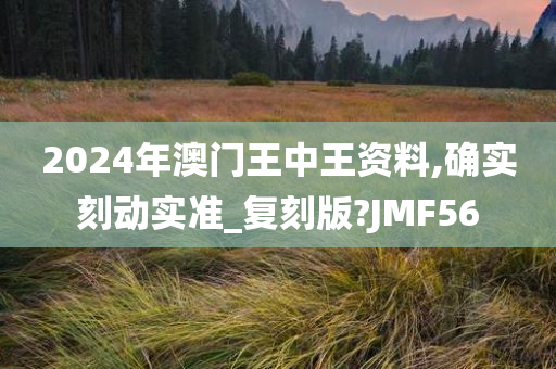 2024年澳门王中王资料,确实刻动实准_复刻版?JMF56