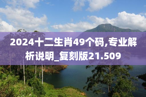 2024十二生肖49个码,专业解析说明_复刻版21.509