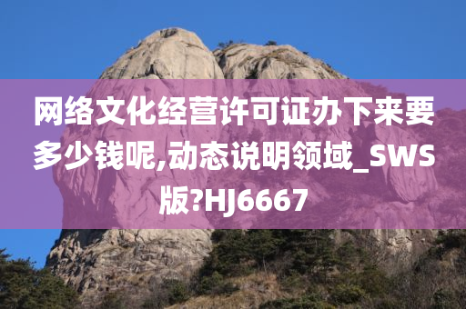 网络文化经营许可证办下来要多少钱呢,动态说明领域_SWS版?HJ6667