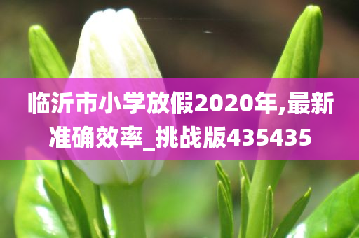 临沂市小学放假2020年,最新准确效率_挑战版435435