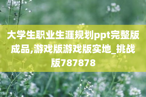 大学生职业生涯规划ppt完整版成品,游戏版游戏版实地_挑战版787878