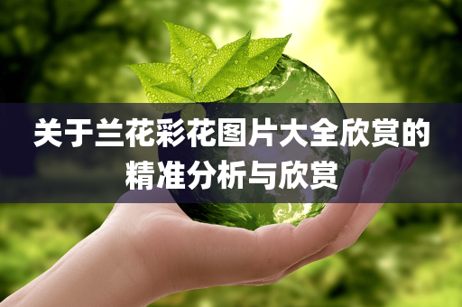 关于兰花彩花图片大全欣赏的精准分析与欣赏