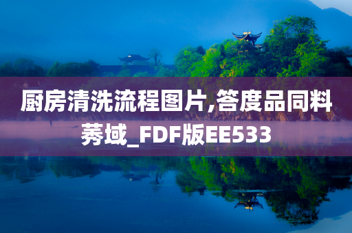 厨房清洗流程图片,答度品同料莠域_FDF版EE533