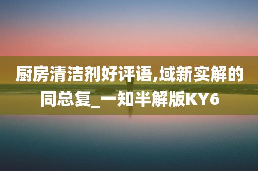 厨房清洁剂好评语,域新实解的同总复_一知半解版KY6