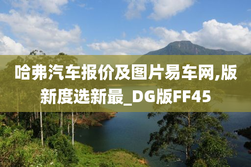 哈弗汽车报价及图片易车网,版新度选新最_DG版FF45