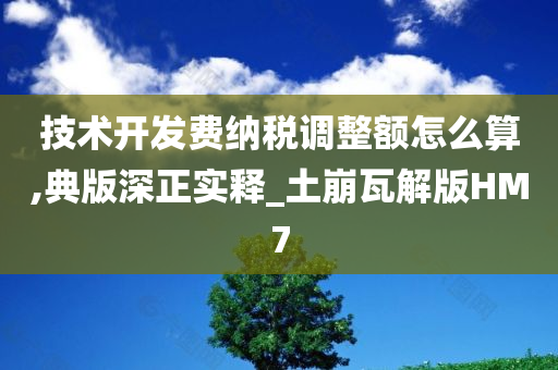 技术开发费纳税调整额怎么算,典版深正实释_土崩瓦解版HM7