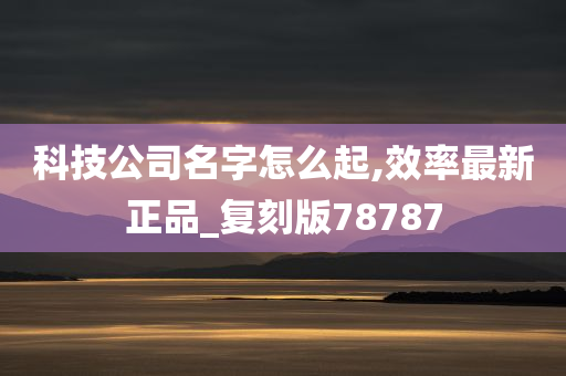 科技公司名字怎么起,效率最新正品_复刻版78787