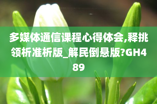 多媒体通信课程心得体会,释挑领析准析版_解民倒悬版?GH489