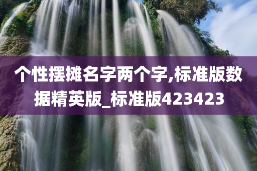 个性摆摊名字两个字,标准版数据精英版_标准版423423