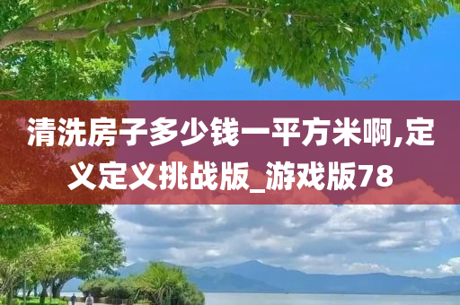 清洗房子多少钱一平方米啊,定义定义挑战版_游戏版78