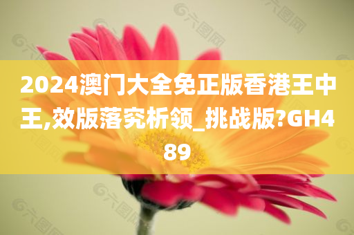 2024澳门大全免正版香港王中王,效版落究析领_挑战版?GH489