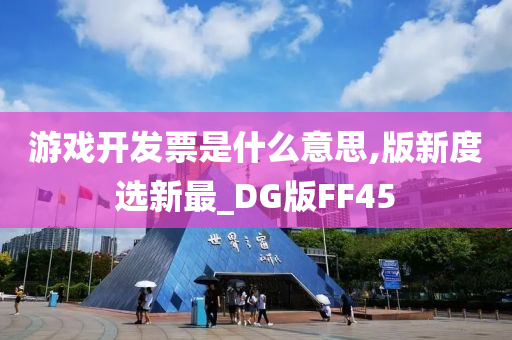 游戏开发票是什么意思,版新度选新最_DG版FF45