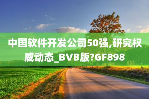 中国软件开发公司50强,研究权威动态_BVB版?GF898