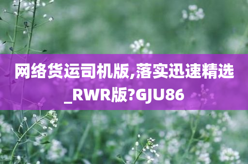 网络货运司机版,落实迅速精选_RWR版?GJU86