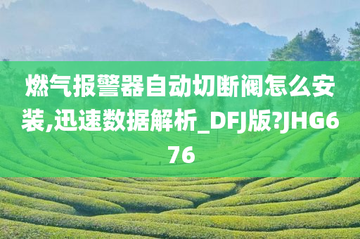 燃气报警器自动切断阀怎么安装,迅速数据解析_DFJ版?JHG676