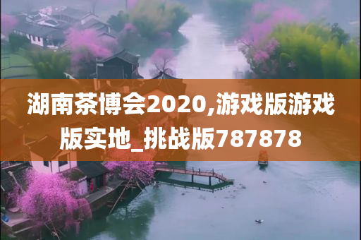 湖南茶博会2020,游戏版游戏版实地_挑战版787878