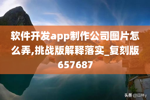 软件开发app制作公司图片怎么弄,挑战版解释落实_复刻版657687