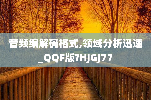 音频编解码格式,领域分析迅速_QQF版?HJGJ77