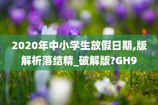 2020年中小学生放假日期,版解析落结精_破解版?GH9