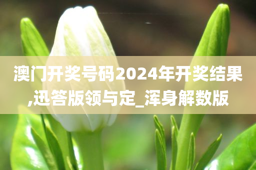 澳门开奖号码2024年开奖结果,迅答版领与定_浑身解数版