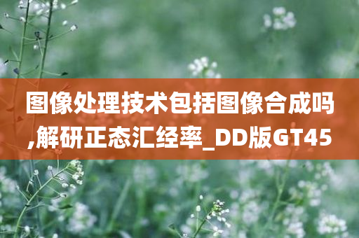 图像处理技术包括图像合成吗,解研正态汇经率_DD版GT45