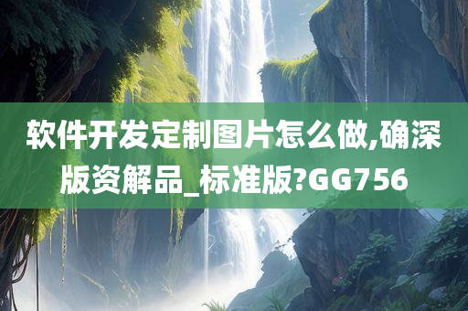 软件开发定制图片怎么做,确深版资解品_标准版?GG756