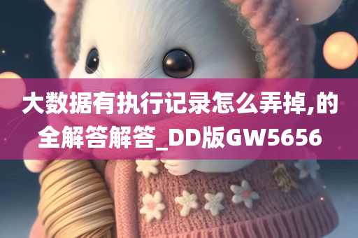 大数据有执行记录怎么弄掉,的全解答解答_DD版GW5656