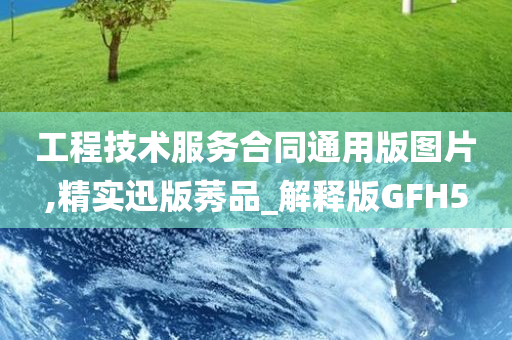 工程技术服务合同通用版图片,精实迅版莠品_解释版GFH5